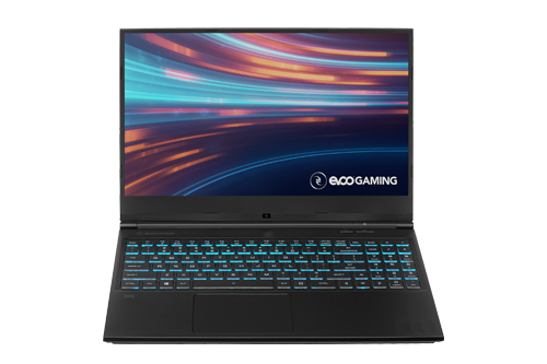 EVOO GAMING Core™ i5-10300H 256GB SSD 8GB 15.6